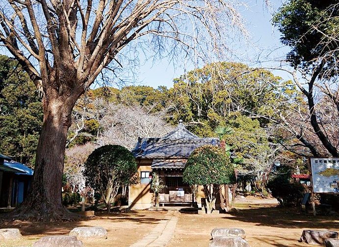 龍角寺の画像