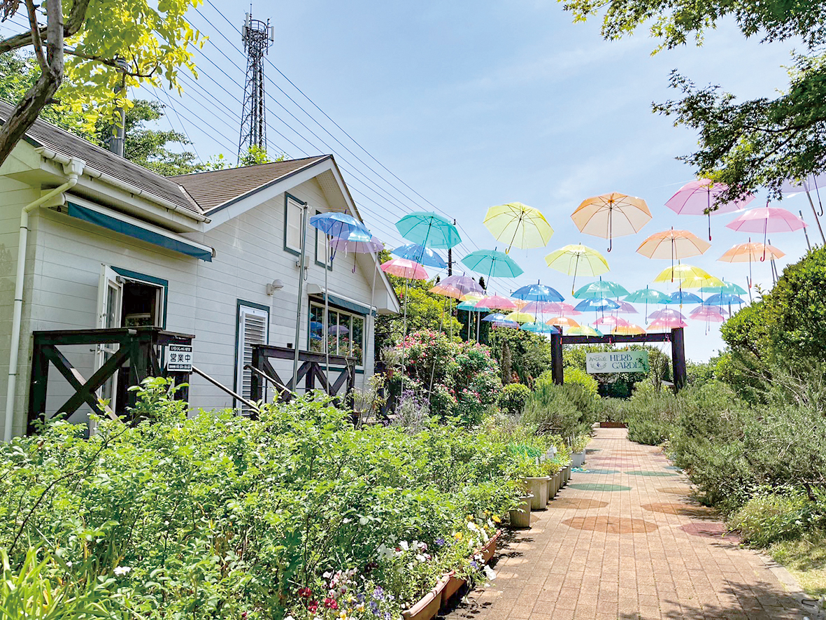 しすい・ハーブガーデン開園！の画像