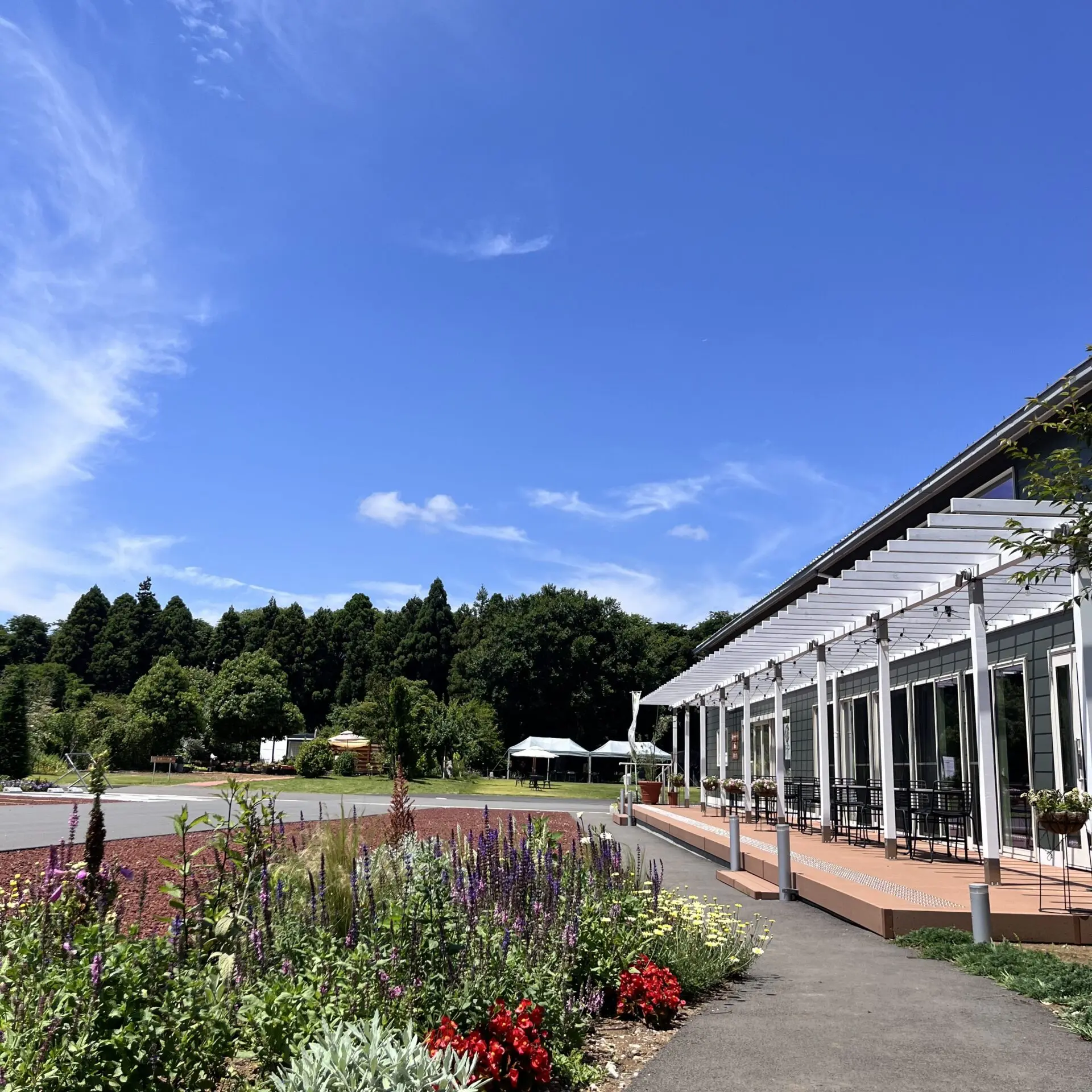 古寺をゆく 全30セット　バラ売り可 9月21日(土）開催！sakuraヘルシーテラス「ワークショップマルシェ