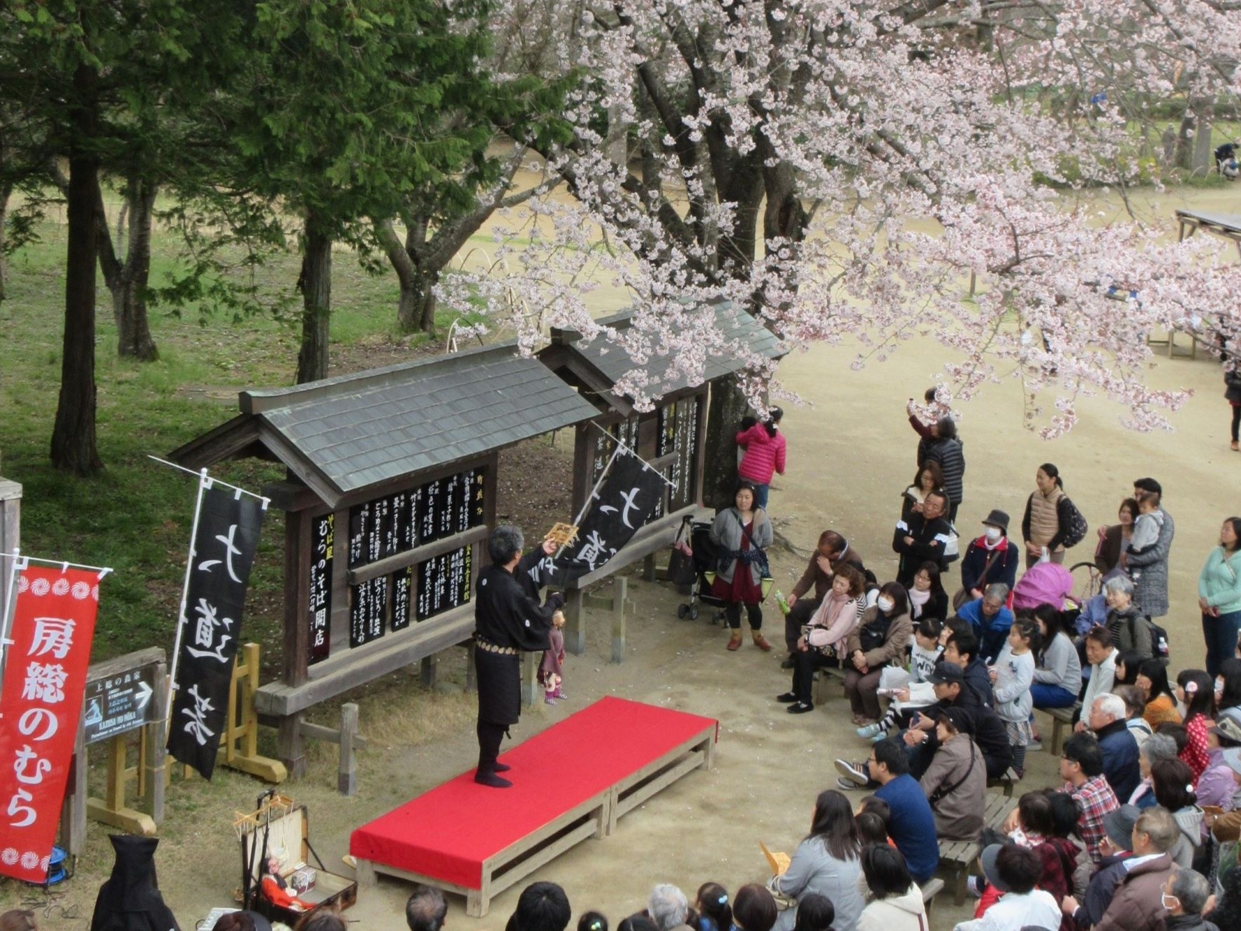 3月20日～2４日開催！ 房総のむら「さくらまつり」の画像