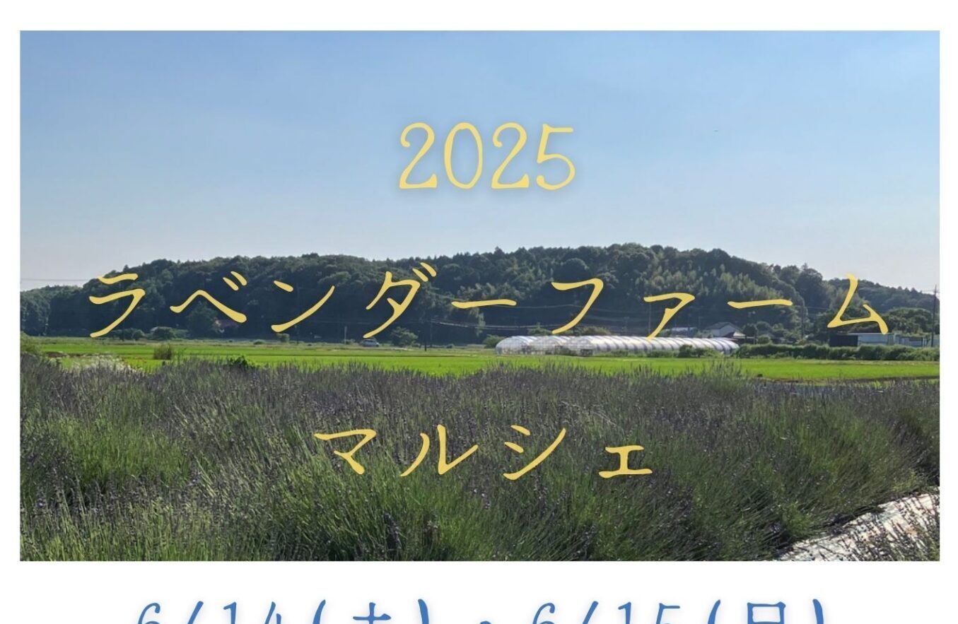 「ラベンダーファームマルシェ」開催！の画像