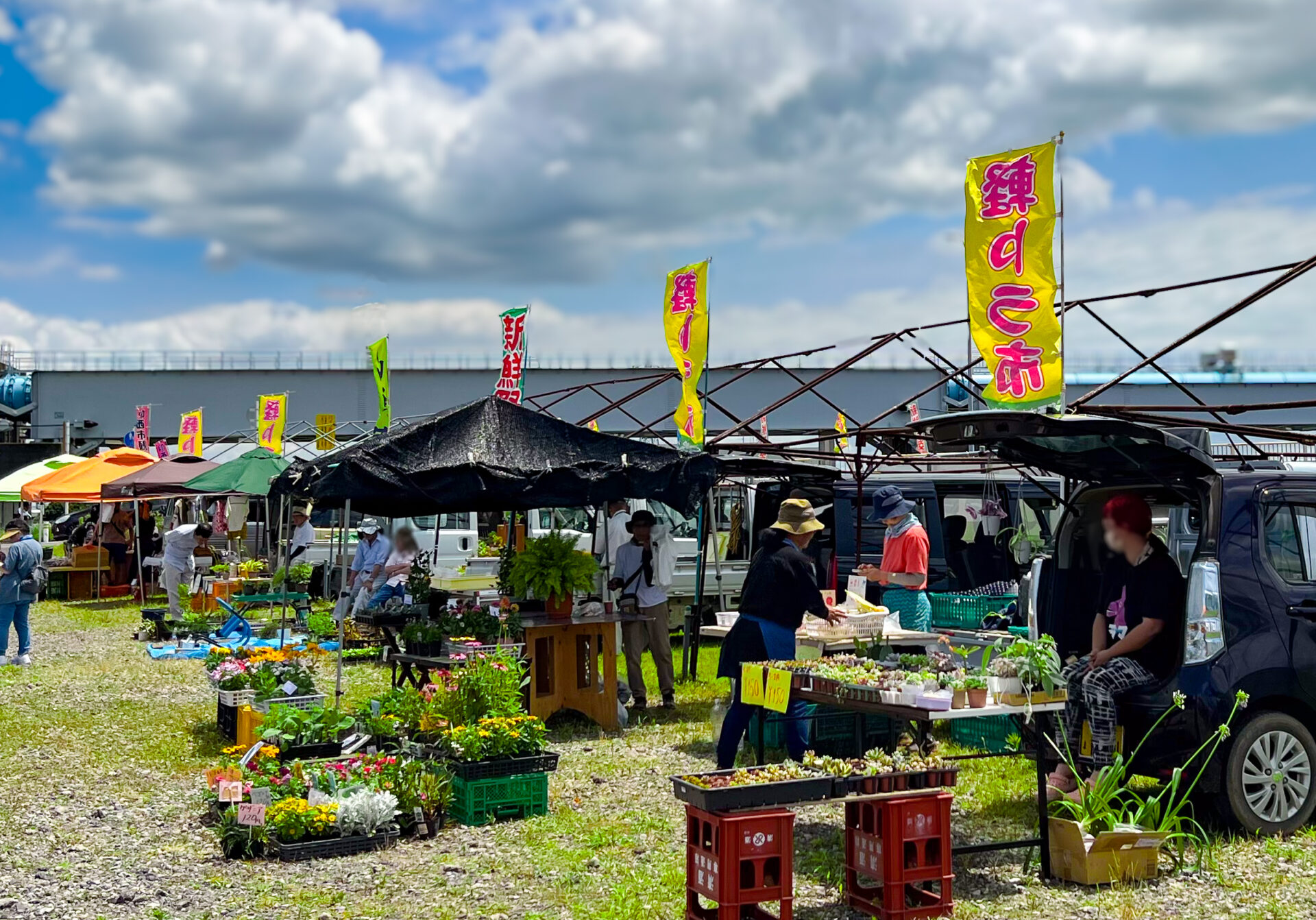 毎月第3土曜日開催！ 産直軽トラ市＆フリーマーケットの画像