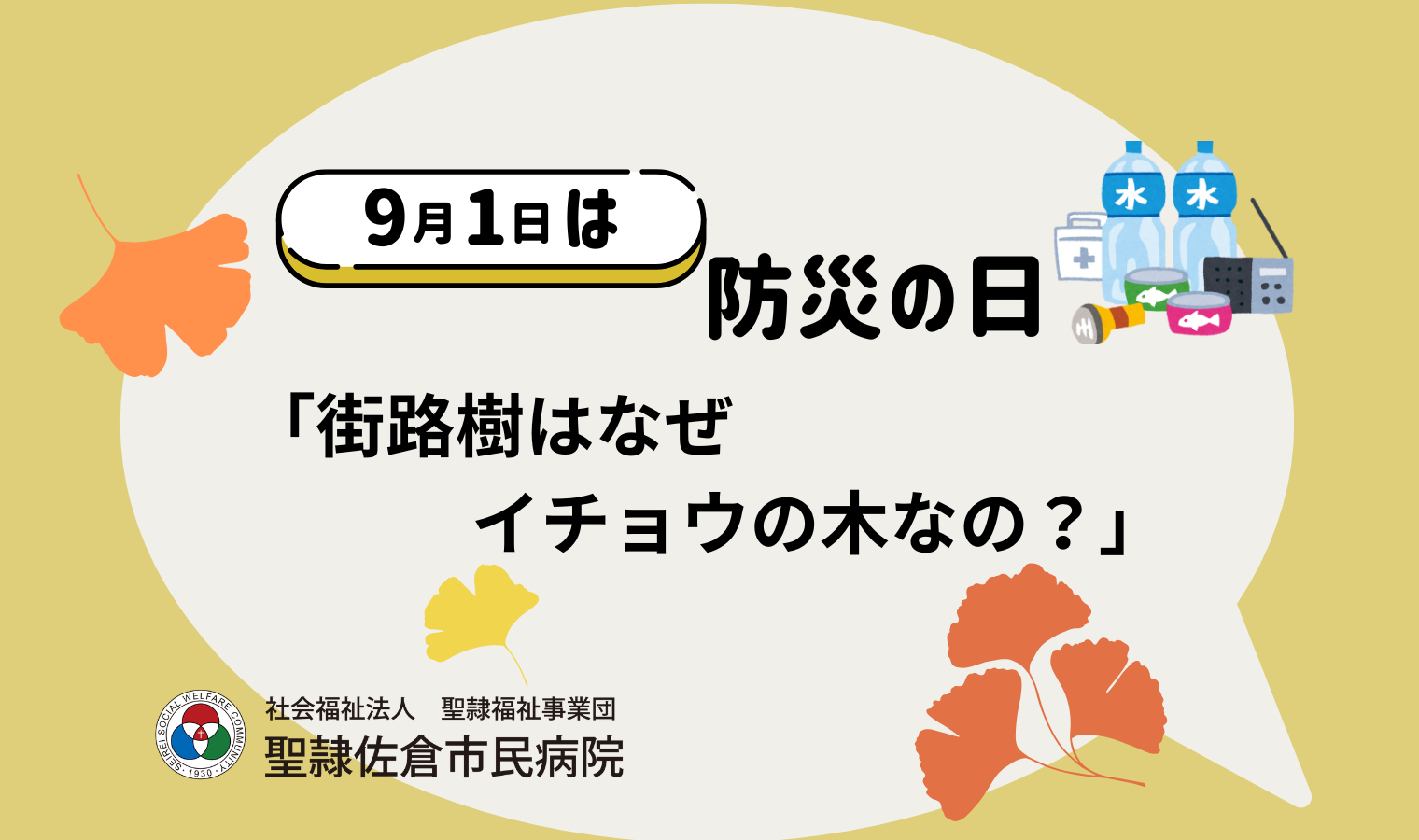 街路樹はなぜイチョウの木なの？の画像