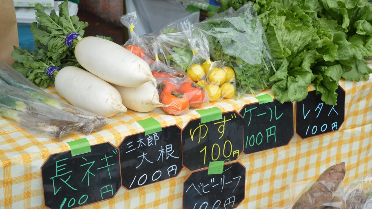 「ちばユニバーサル農業フェスタ2025in四街道」開催！の画像