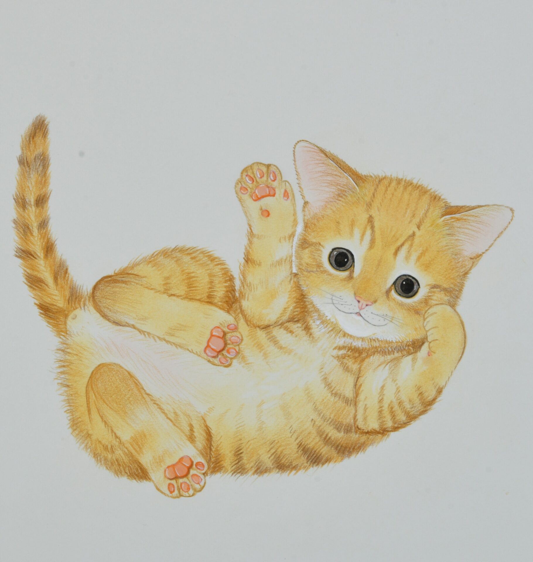 佐倉市立美術館「広野多珂子 絵本原画展」開催！の画像