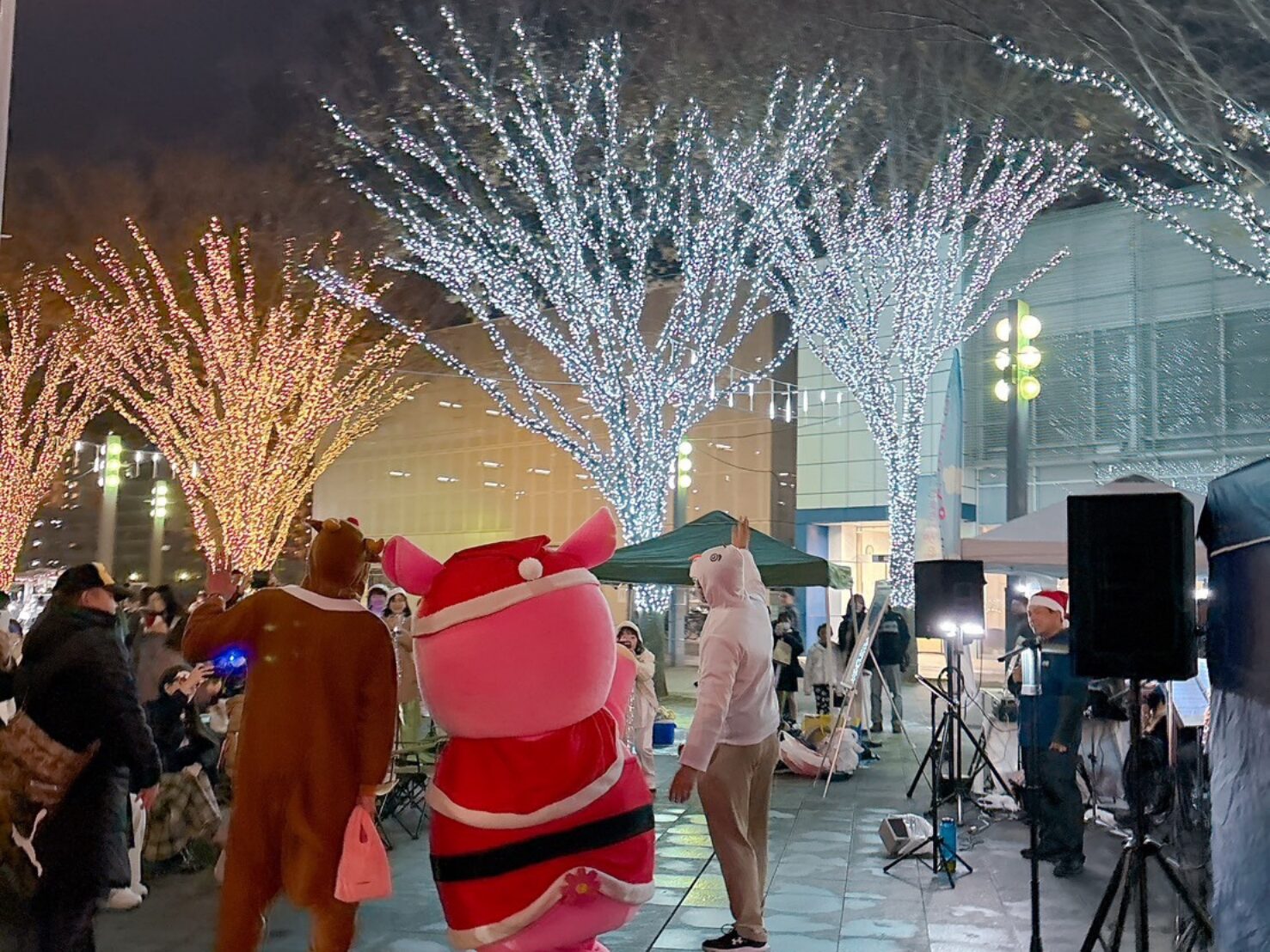 イルミライINZAI冬フェス【フィナーレ】1月25日(日)開催の画像