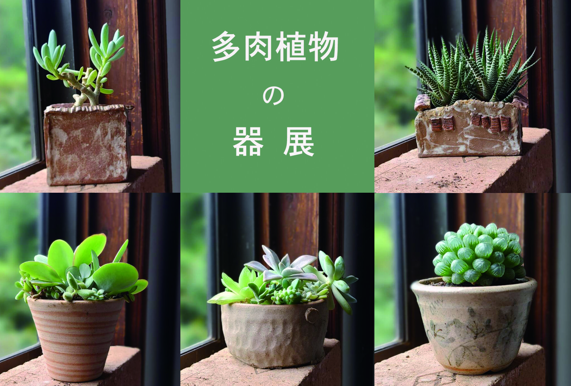 9月5日（土）～13日（日）開催 「多肉植物の器」展の画像