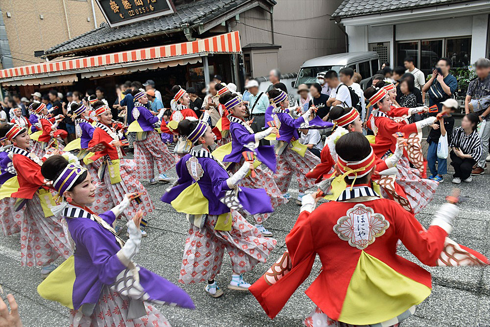 9月26日（土）･27日（日）開催「成田伝統芸能まつり」の画像