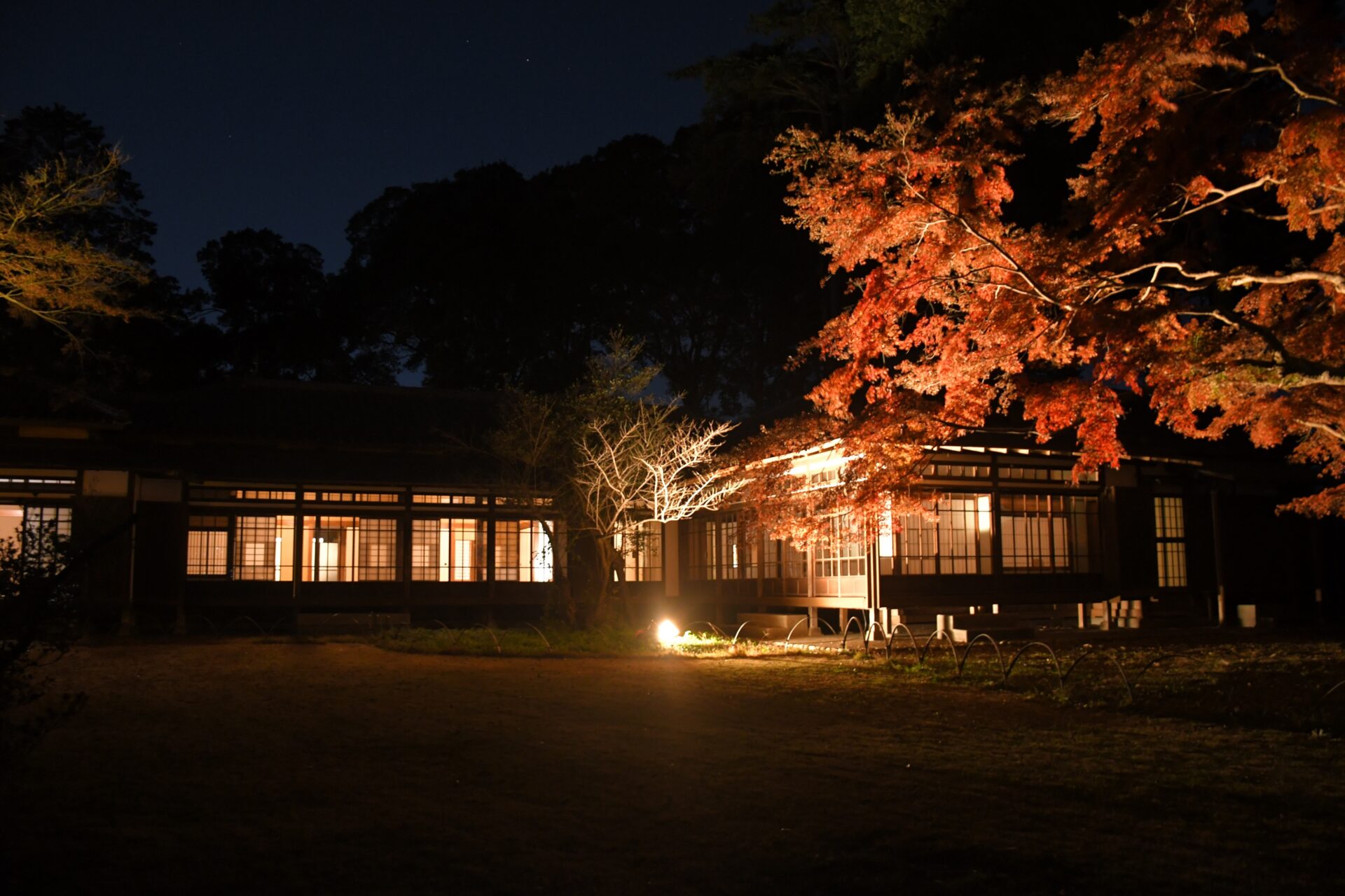 11月27日（金）～29日（日）「旧岩崎家末廣別邸」夜間特別公開！の画像