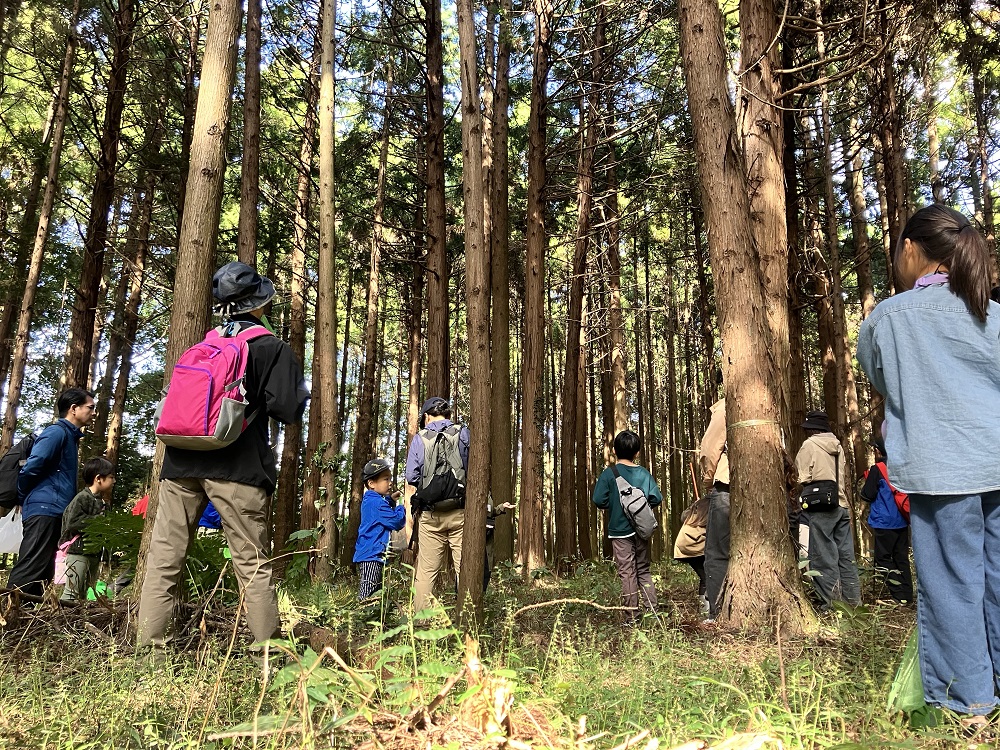 10月18日（日）開催！「森の自然観察会」の画像